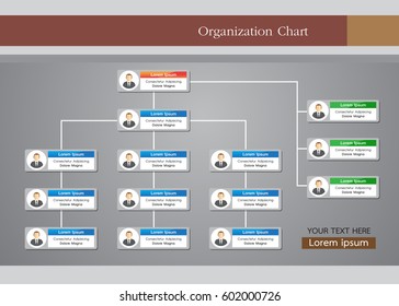 Organization Chart Infographics With People Icon And Abstract Line, Business Structure, Vector Illustration