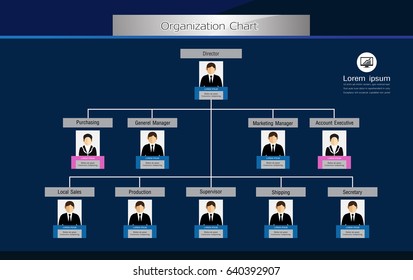 Organization Chart Infographics with People Icon and Abstract Line, Business Structure, Hierarchy of employees, org  Vector Illustration.