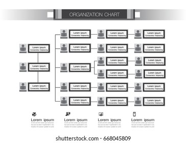 Organization Chart Infographics with People Icon and Abstract Line, Business Structure, Hierarchy of employees, org  Vector Illustration.