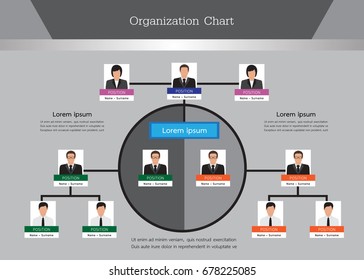 Organization Chart Infographics with People Icon and Abstract Line, Business Structure, Hierarchy of employees, org  Vector Illustration.