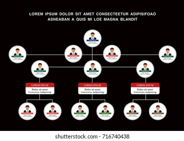 Organization Chart Infographics with People Icon and Abstract Line, Business Structure, Hierarchy of employees, org  Vector Illustration.