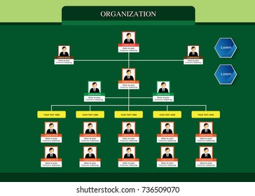 Organization Chart Infographics with People Icon and Abstract Line, Business Structure, Hierarchy of employees, org  Vector Illustration.