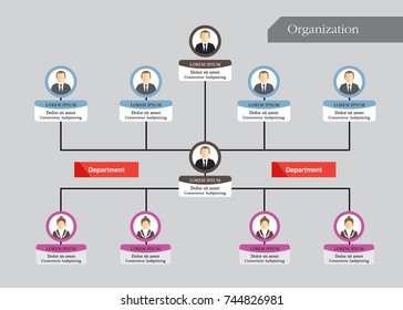 Organization Chart Infographics with People Icon and Abstract Line, Business Structure, Hierarchy of employees, org  Vector Illustration.