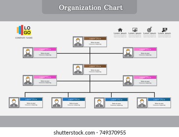 Organization Chart Infographics with People Icon and Abstract Line, Business Structure, Hierarchy of employees, org  Vector Illustration.