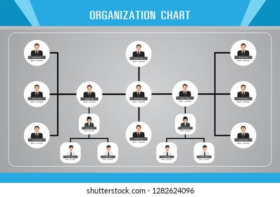 Organization Chart Infographics, vector design