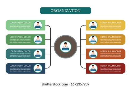 Organization Chart Infographics , vector design