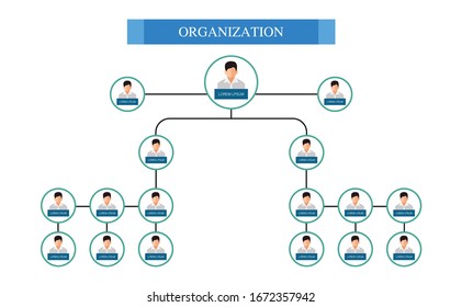 Organization Chart Infographics , vector design