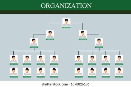 Organization Chart Infographics , vector design.