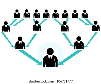 organization chart and network