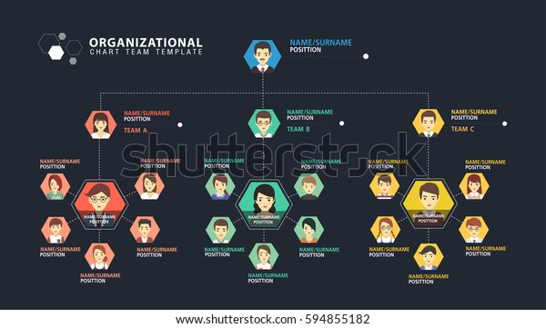 Organization Chart Team Business Corporation Presentation Stock Vector Royalty Free 594855182 1533