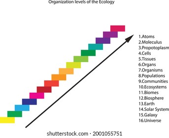 Organization levels of ecology consisting with sixteen levels from atom to universe