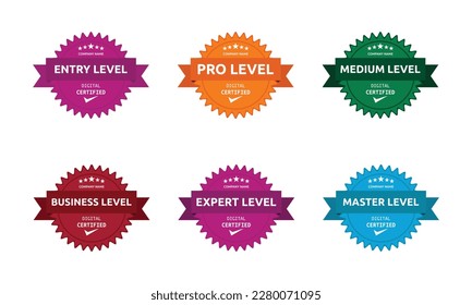 Organization Training Certification Badge Set, Certified Stamp For Company Members on Different Levels Seal With Premium Look