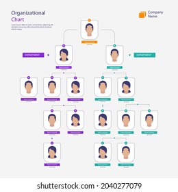 Organizational chart infographic design template. Chart, structure, hierarchy, business group tree. Company people relationship, workforce. Organization workflow sequence. Team management. Vector art.