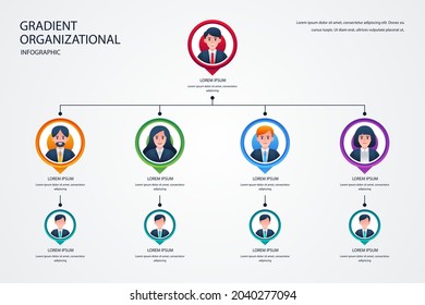 Organizational chart infographic design template. Chart, structure, hierarchy, business group tree. Company people relationship, workforce. Organization workflow sequence. Team management. Vector art.