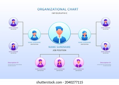 Organizational chart infographic design template. Chart, structure, hierarchy, business group tree. Company people relationship, workforce. Organization workflow sequence. Team management. Vector art.