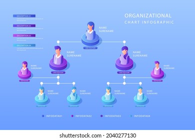 Organizational chart infographic design template. Chart, structure, hierarchy, business group tree. Company people relationship, workforce. Organization workflow sequence. Team management. Vector art.