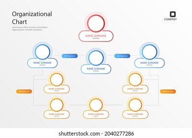 Organizational chart infographic design template. Chart, structure, hierarchy, business group tree. Company people relationship, workforce. Organization workflow sequence. Team management. Vector art.