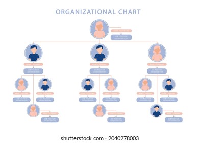 Organizational Chart Infographic Design Template Chart Stock Vector ...