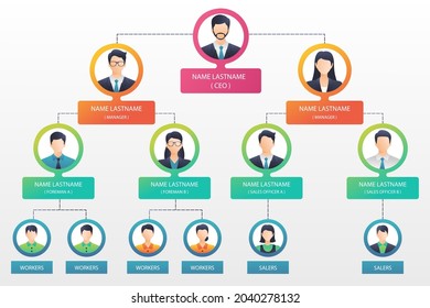 Organizational chart infographic design template. Chart, structure, hierarchy, business group tree. Company people relationship, workforce. Organization workflow sequence. Team management. Vector art.