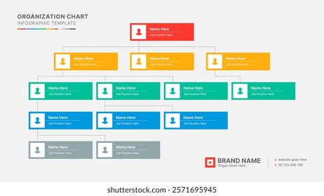 Organizational Chart, Tree Diagram, Dendrogram Business Infographic Template Design	