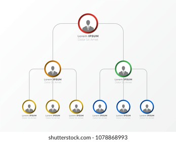 organizational structure of the company. business hierarchy infographic elements. three-level business management structure