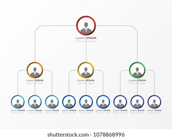 organizational structure of the company. business hierarchy infographic elements. three-level business management structure