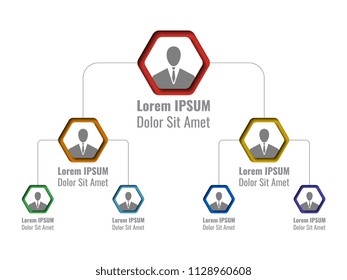 organizational structure of the company. business hierarchy infographic elements. three-level business management structure