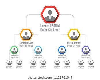 organizational structure of the company. business hierarchy infographic elements. four-level business management structure