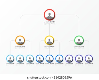 Organizational Structure Company Business Hierarchy Infographic Stock ...