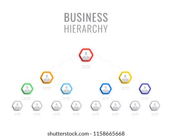 organizational structure of the company. business hierarchy hexagonal infographic elements. multilevel business management structure