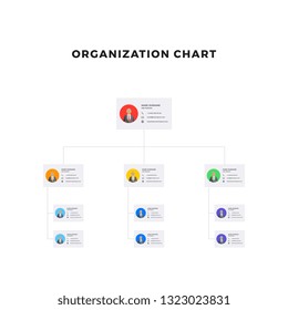 Organizational Structure Company Business Hierarchy Infographic Stock ...