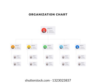 organizational structure of the company. business hierarchy infographic elements. multi-level business management structure. modern corporate tree layout design. flat vector illustration. eps 10