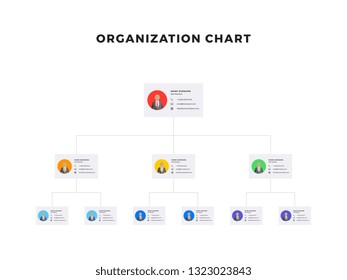 organizational structure of the company. business hierarchy infographic elements. multi-level business management structure. modern corporate tree layout design. flat vector illustration. eps 10