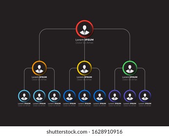 Organizational Structure Company Business Hierarchy Infographic Stock ...