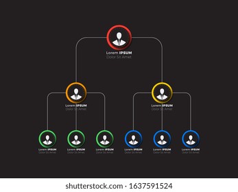 Organizational Structure Company Business Hierarchy Infographic Stock ...