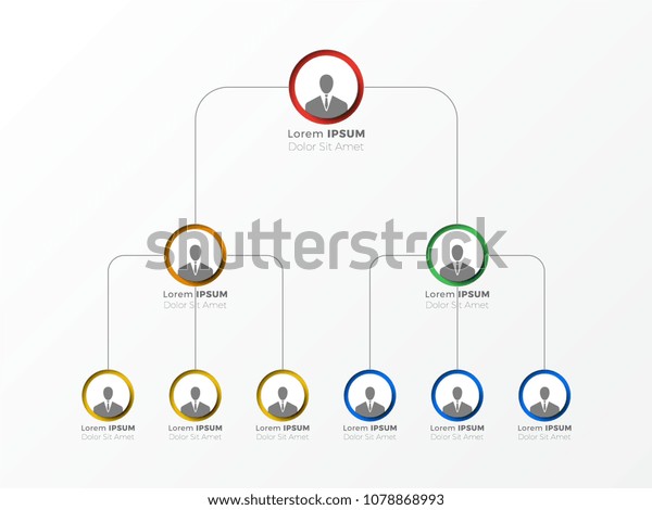 Organizational Structure Company Business Hierarchy Infographic Stock ...