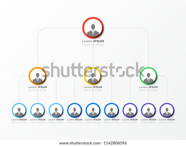 Organizational Structure Company Business Hierarchy Infographic Stock ...