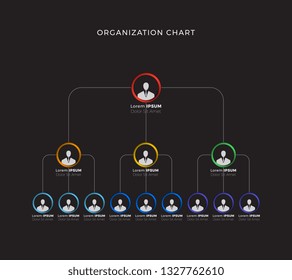 Organizational Structure Company Business Hierarchy Infographic Stock ...