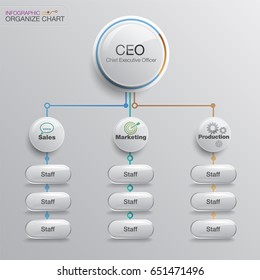 Organize Chart Infographic. Business Structure. Vector Design.