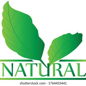 organoic and natural simple logo labels element vector illustration