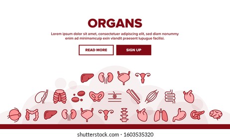 Organs Anatomical Landing Web Page Header Banner Template Vector. Stomach And Uterus, Spleen And Lungs, Heart And Kidneys, Human Organs Illustration