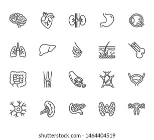 Organs, Anatomy Flat Line Icons Set. Human Bones, Stomach, Brain, Heart, Bladder, Nervous System Vector Illustrations. Outline Pictograms For Medical Clinic. Editable Strokes.