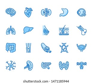 Organs, anatomy flat line icons set. Human bones, stomach, brain, heart, bladder, nervous system vector illustrations. Outline pictograms for medical clinic. Editable Strokes.