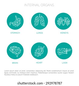 Organs with description instruction icons set template