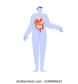 Organs Of Digestive System Inside Human Body. Internal Anatomy With Stomach, Liver, Intestine. Simple Digestion Tract, Esophagus Scheme. Flat Graphic Vector Illustration Isolated On White Background