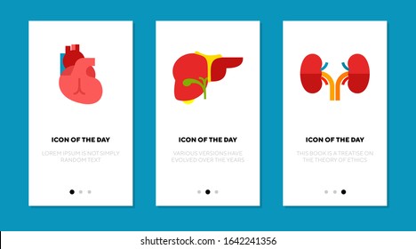 Organs flat icon set. Heart, liver, kidney isolated sign pack. Anatomy, human body, health concept. Vector illustration symbol elements for web design