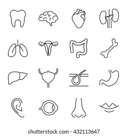 Organs of the human body. Set of vector icons. Outline style