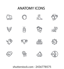 organs icon. anatomy human icon set.vector.Editable stroke.linear style sign for use web design,logo.Symbol illustration.