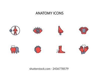 Icono de órganos. Anatomía humana icono set.vector.Trazo editable.signo de estilo lineal para el uso de diseño web,logo.Ilustración de símbolo.