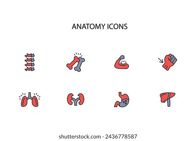 Icono de órganos. Anatomía humana icono set.vector.Trazo editable.signo de estilo lineal para el uso de diseño web,logo.Ilustración de símbolo.